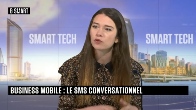 Emeline Desmots, Senior Mobile Messaging Consultant chez Sinch Emeline Desmots, Senior Mobile Messaging Consultant chez Sinch