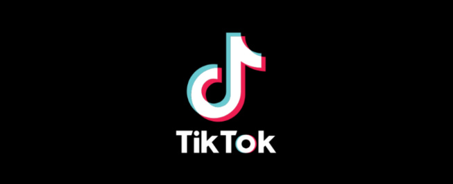 Le Sénat veut plafonner l'usage quotidien de TikTok pour les mineurs Le Sénat veut plafonner l'usage quotidien de TikTok pour les mineurs