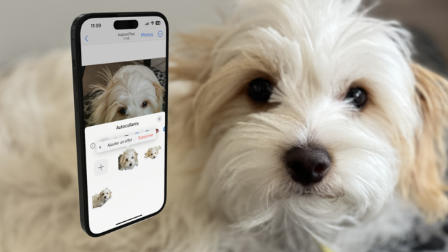 Comment créer un Sticker iMessage à partir d’une photo sur un iPhone sous iOS 17 Comment créer un Sticker iMessage à partir d’une photo sur un iPhone sous iOS 17