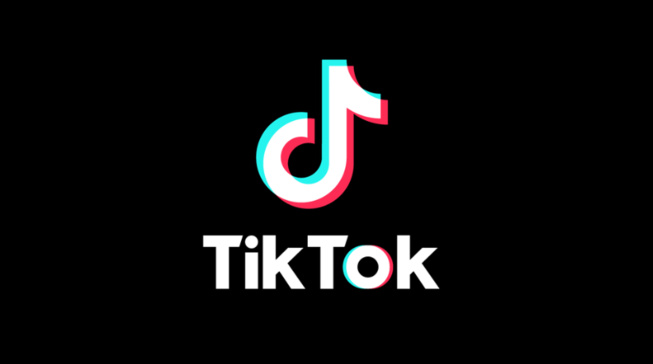 Les Français ont dépensé plus de 83 millions d'euros pour soutenir les influenceurs sur TikTok en 2023