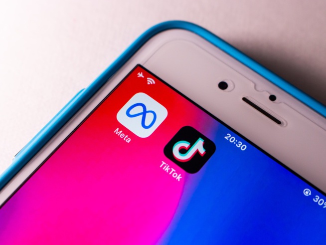 TikTok et Meta contestent les nouvelles règles de l'UE sur la concurrence en ligne TikTok et Meta contestent les nouvelles règles de l'UE sur la concurrence en ligne