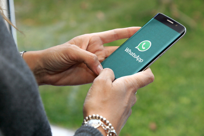WhatsApp travaille sur une nouvelle fonction de recherche d’images WhatsApp travaille sur une nouvelle fonction de recherche d’images