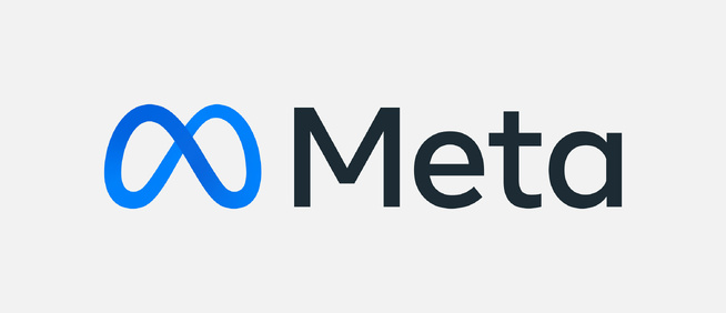(c) Meta Inc