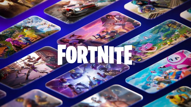 (c) Fortnite