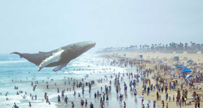 Quelles sont les opportunités de la réalité virtuelle pour les marques ? Quelles sont les opportunités de la réalité virtuelle pour les marques ?