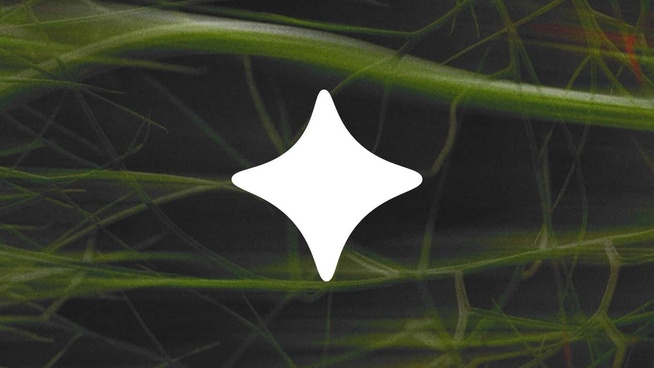 Le visuel choisi par Ecosia pour illustrer ses fonctions d’intelligence artificielle. © Ecosia Le visuel choisi par Ecosia pour illustrer ses fonctions d’intelligence artificielle. © Ecosia