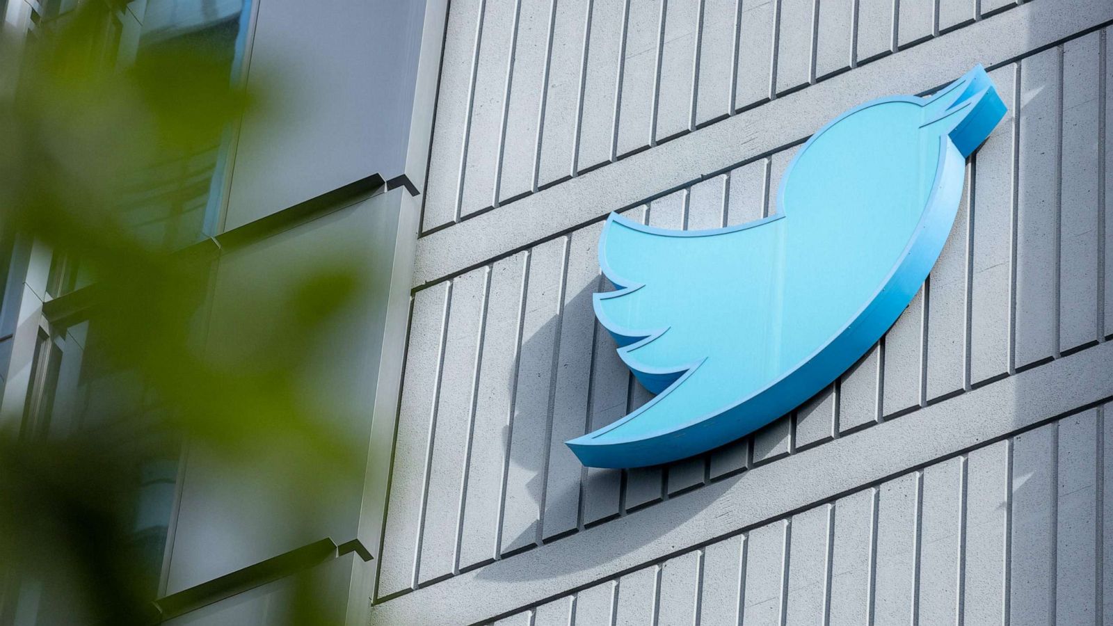 Twitter fournira des packages de vérification d'entreprise moins chers pour les PME