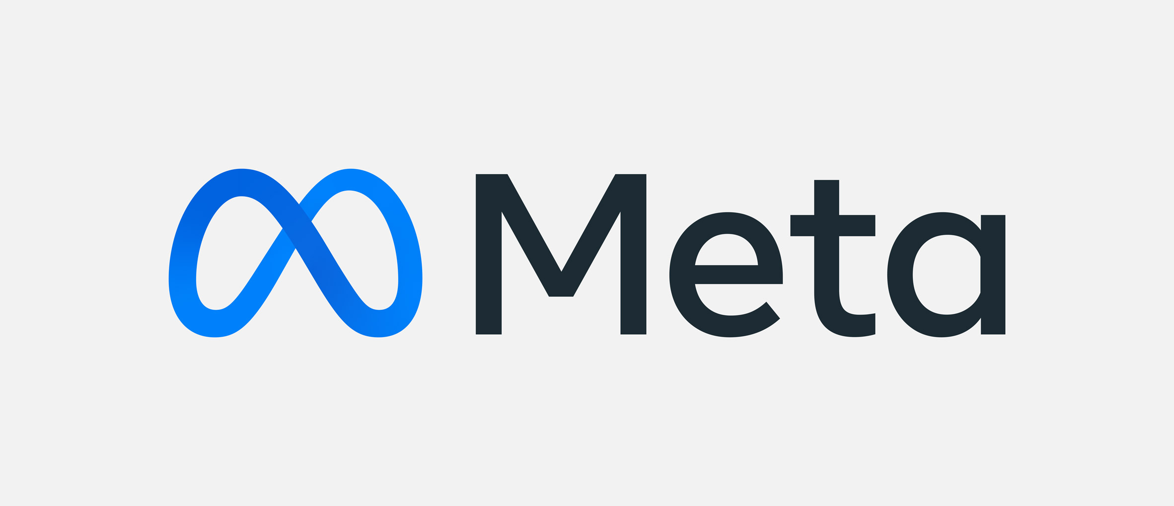 (c) Meta Inc