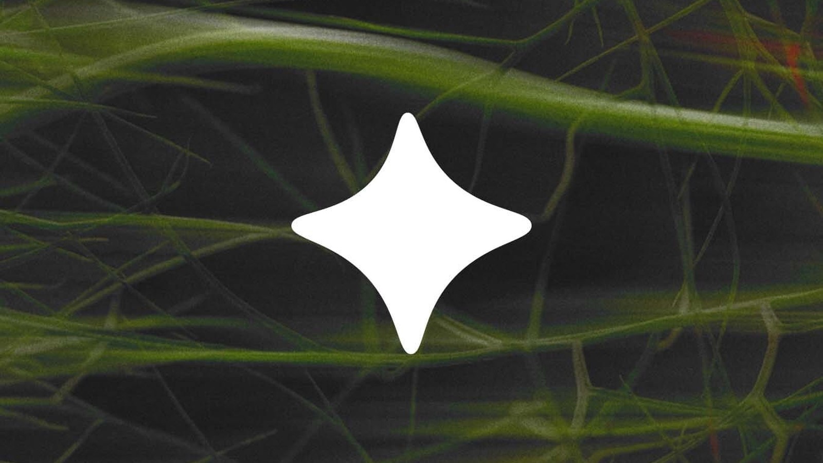 Le visuel choisi par Ecosia pour illustrer ses fonctions d’intelligence artificielle. © Ecosia