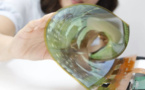 LG serait en partenariat avec Apple et Google pour des écrans OLED pliables