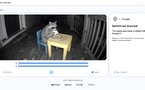 SynthID Detector : comment vérifier si une image ou une vidéo a été générée par IA