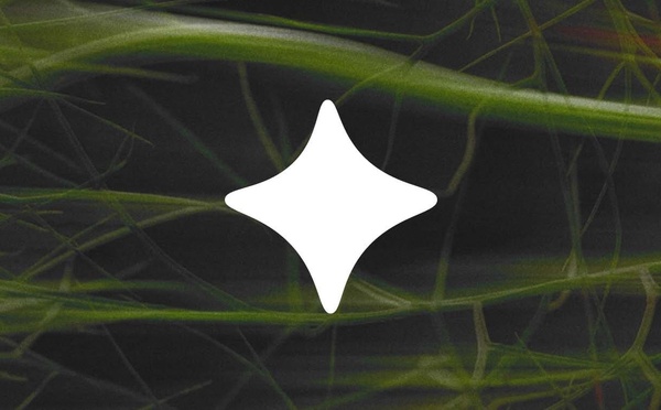 Ecosia quitte Mistral pour Melious